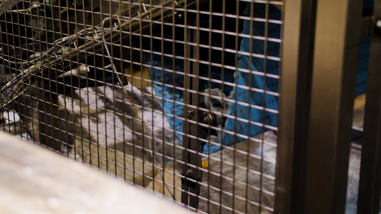 máquina rodante detrás de una valla metálica