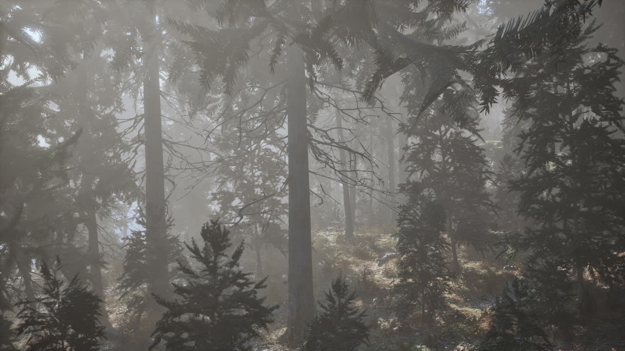 가을의 소나무 숲에서 떨어지는 가을 잎과 바늘