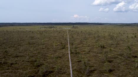 moviéndose a lo largo de un camino de madera en nigula bog, estonia