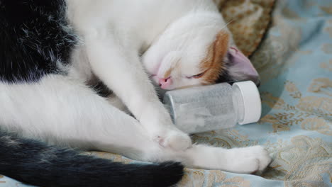 Die-Katze-Liegt-Auf-Dem-Bett,-Ihr-Kopf-Lehnt-An-Eine-Flasche-Mit-Medikamenten-Kopfschmerzen-Und-Lustigen-Tieren