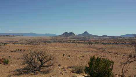 rising aerial revealing vast desert landscape with bushes in foreground