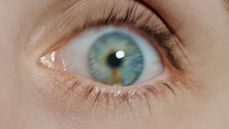 Wunderschönes-Makro,-Blaues-Auge,-Blinkend,-Natürliche-Menschliche-Schönheit,-Gesunde-Sehkraft,-Nahaufnahme