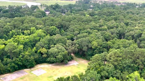 drone descent from high altitude to grassy clearing in wilmington island reserve; lush green trees fill frame, minimal sky, smooth slide to pilot’s launch spot.