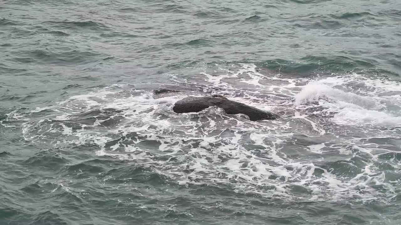 Ocean waves breaking on a solitary rock