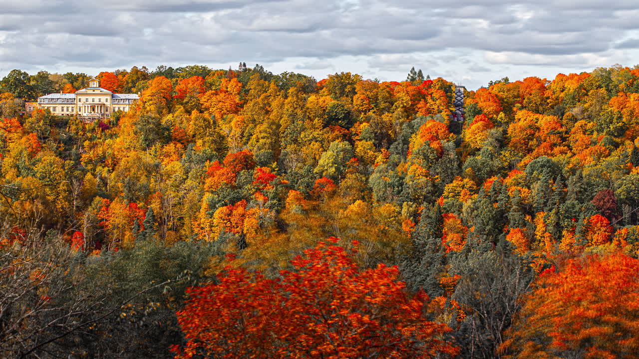 가을의 흐린 하늘 동안 다채로운 잎이 있는 아름다운 숲 풍경의 저속 촬영 - 배경에 있는 고급 빌라 - 시굴다, 라트비아