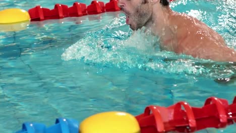 hombre en forma nadando en la piscina