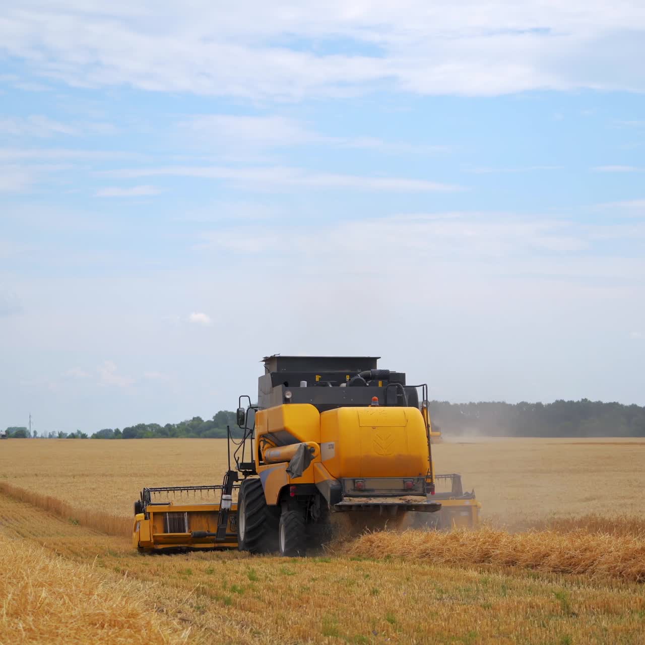 Machine harvesting golden wheat field