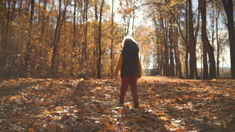 Un-Niño-Camina-En-Cámara-Lenta-Sobre-El-Follaje-Amarillo-Caído-De-Los-árboles-En-El-Otoño-Bajo-La-Luz-Del-Sol-En-El-Parque-Y-Se-Vuelve.-Imágenes-4k-De-Alta-Calidad