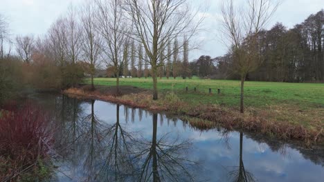 paisaje de invierno con reflejos