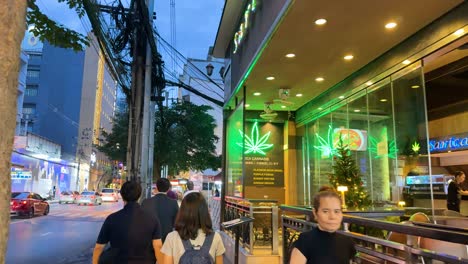 cannabis shop in thailand at night