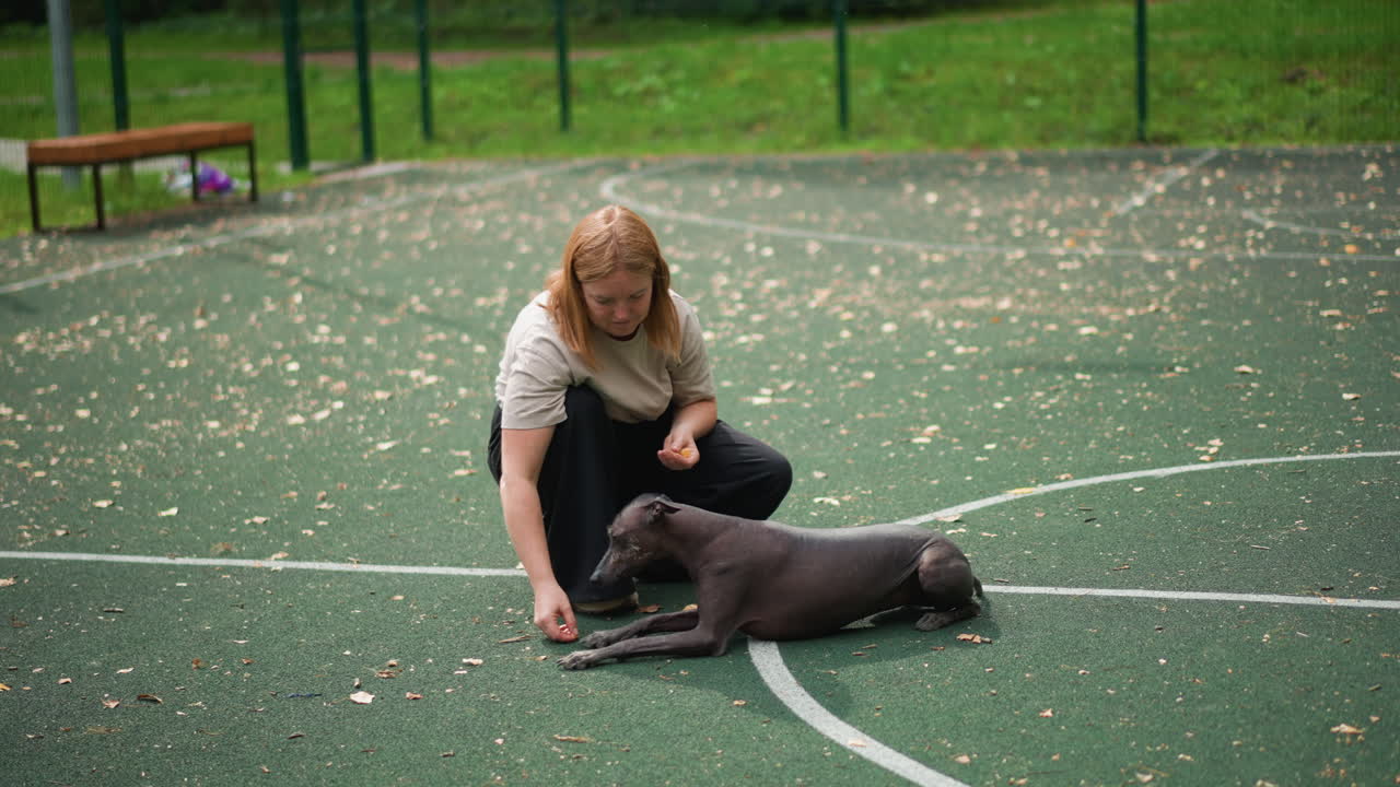 White Woman Training Dog With Treats On Outdoor Court, Kneeling Close To Pet, Calm Focus And Gentle Rewards, Fallen Leaves On Textured Surface, Intimate Owner And Companion Moment