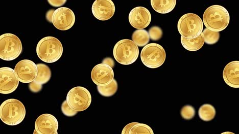 golden bitcoin coins cascade against a black background, creating a dynamic and visually striking animation with a sense of motion