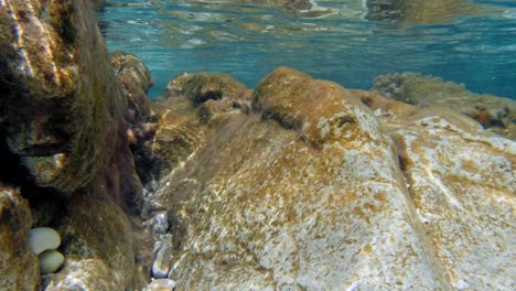 crystalline underwater shot of paralia emplisi's pebbled beach