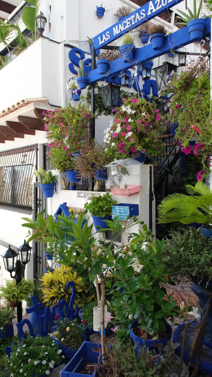 A home along the alley of Alicante is fully adorned with blue pots overflowing with colorful flowering plants, creating a stunning, lively display of nature and art.