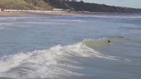 surfistas tratando de atrapar una ola