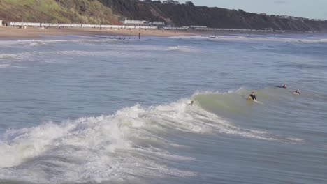 surfers trying to catch a wave