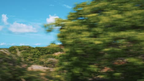 the beautiful, stunning view of the landscape in curacao from a moving car - wide shot