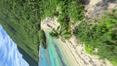 Dominican-republic,-cinematic-fpv-flight-around-palms-and-tropical-sand-beach