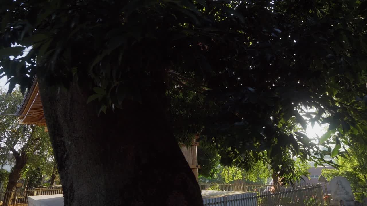 These types of pagodas are very characteristic of Japanese Buddhist temples, their construction is very complex and beautiful, and they are designed in such a way that they are anti-seismic.