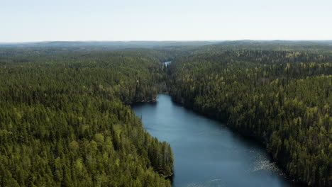 Antenne,-Drohnenaufnahme-Mit-Blick-Auf-Den-See-Iso-Helvetijarvi,-Heller,-Sonniger-Tag,-Im-Nationalpark-Helvetijarvi,-Ruovesi,-Pirkanmaa,-Finnland