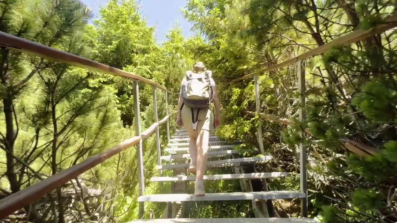La telecamera segue un'escursionista mentre sale un sentiero con scala metallica circondata da verdi pini sui monti Ceahlău