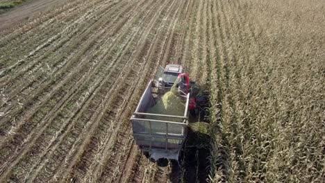 closeup aerial view of tractor harvesting corn field - filling trailer with biomass