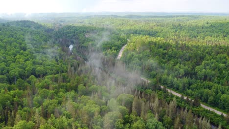 Lush-green-forest-expanse-with-a-winding-road,-aerial-perspective,-daylight