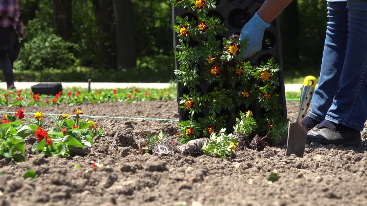 mujeres jardineras al aire libre en el parque de la ciudad.