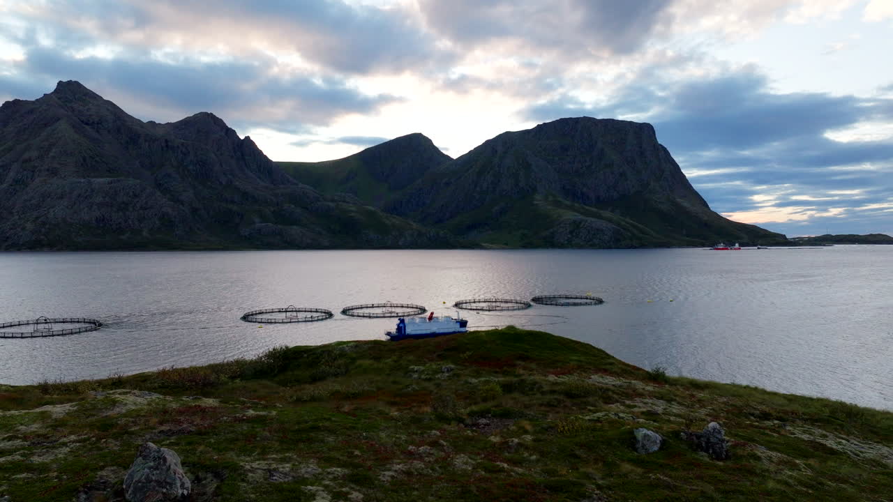 Norwegian salmon farm with circular sea cages, Vesteralen archipelago in Norway. Aerial forward at low altitude, beautiful landscape