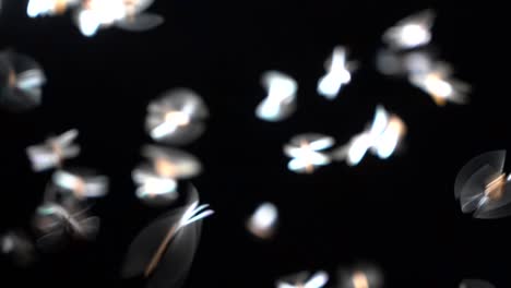 low key image and blur to highlight the lights in the night long and flying animation play light around the fire of termite flying or alates after rain in the rainy season.