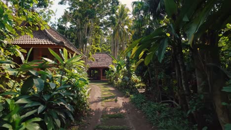 wooden pathway winding through lush tropical greenery toward rustic traditional bungalow in balinese landscape, revealing peaceful island setting