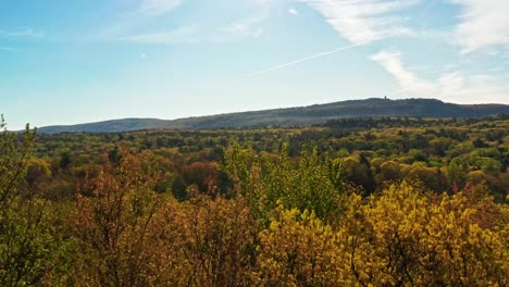 Rising-through-trees-in-upstate-New-York,-autumn-colors