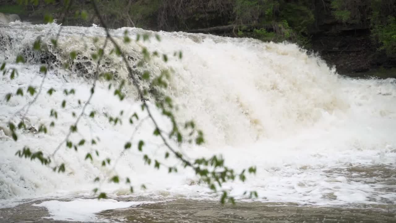 Rack focus from a spring tree branch with green leaves to a raging waterfall