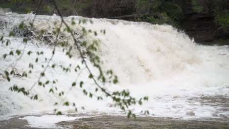 Rack-focus-from-a-spring-tree-branch-with-green-leaves-to-a-raging-waterfall