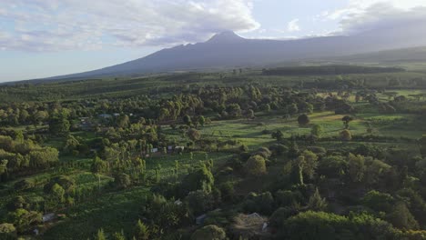 Idyllic-African-landscape-of-lush-green-plantations-by-Mount-Kilimanjaro