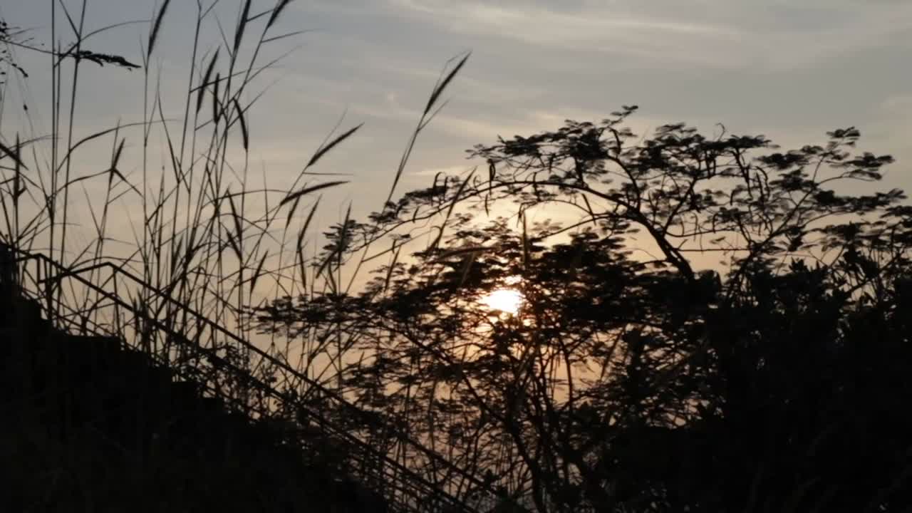 아름다운 태양이 활동하기 시작하면 풀, 나무, 그 밖의 모든 것은 중요하지 않습니다.