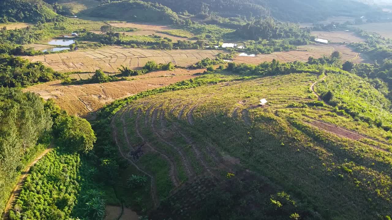 마운틴 뷰, 포레스트 그린, 일몰