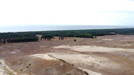 majestic view of baltic sea while flying over sandy dune and pine tree forest in neringa, lithuania