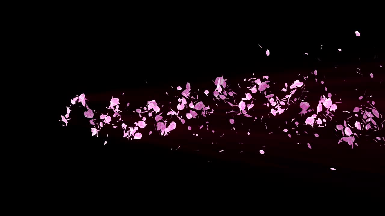 꽃의 나선형 반이는 입자, 사쿠라 패턴, 일본의 꽃 춤, 분홍색 꽃잎의 소용돌이, 추상적인 루프 애니메이션.
