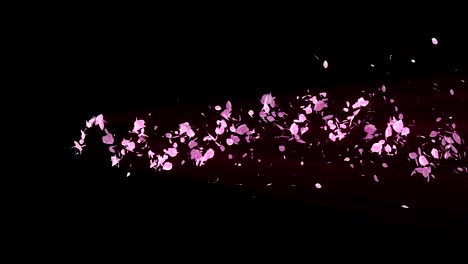 spiral shiny particle of cherry blossoms. sakura pattern. japanese cherry dancing. vortex from pink petals. abstract loop animation.