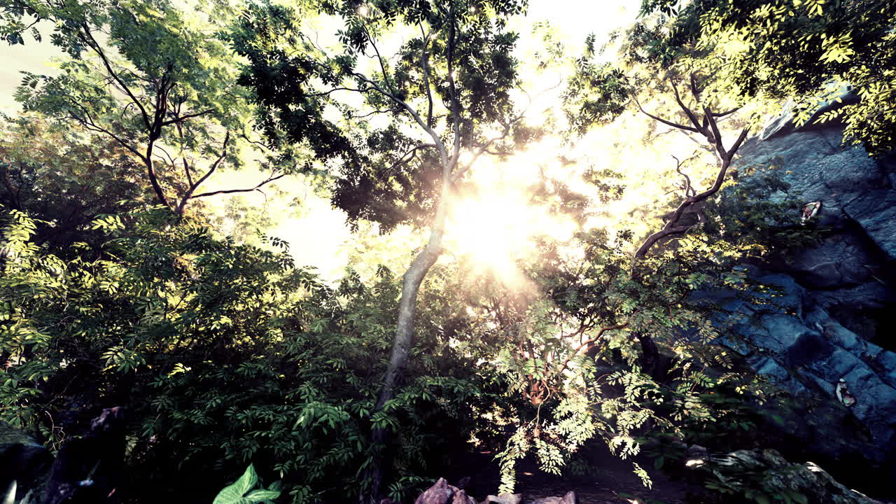 la luz del sol filtrándose a través de un bosque exuberante