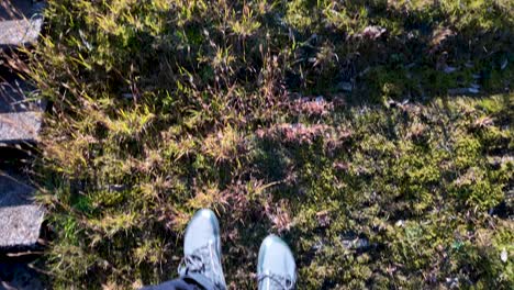 first person view of hiker legs riding chair lift over grass and moss, enjoying pov perspective