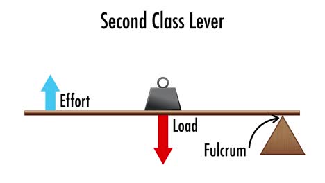 second class lever diagram