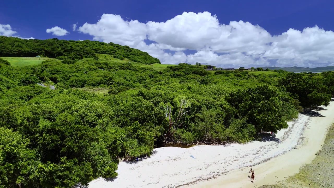 Ripresa aerea con drone che sorvola prati verdi lussureggianti e fitte foreste tropicali che conducono verso le bianche spiagge sabbiose di Ishigaki.