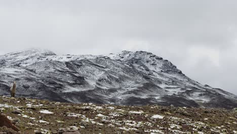 Montañas-Nevadas,-Pampas-Galeras,-Perú