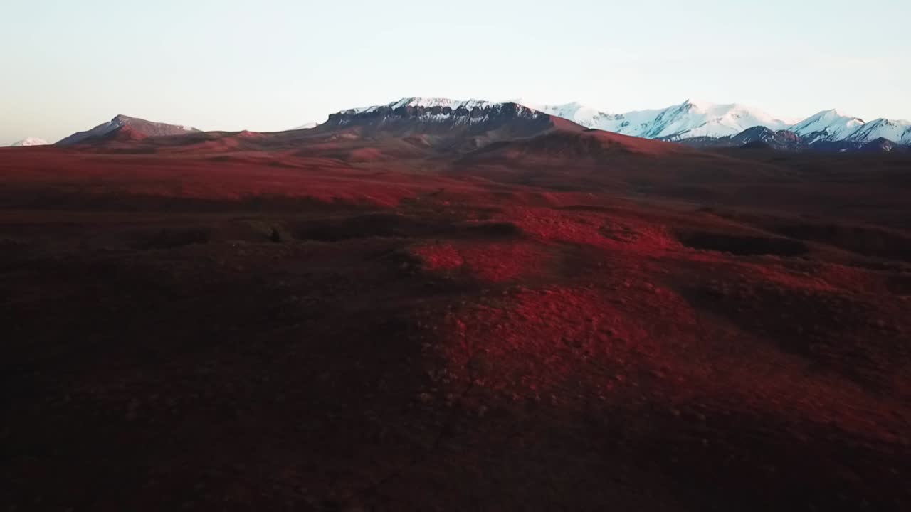 Sensational golden hour flight above burwash uplands and deep red amphitheater alpine meadow and snow covered mountain range in Kluane national park, Canada, overhead aerial pull back