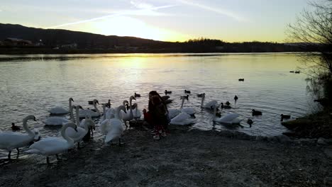 Schöne-Aussicht-Auf-Mutter-Und-Tochter,-Die-Bei-Sonnenuntergang-Am-Ruhigen-Fluss-Schwäne-Füttern