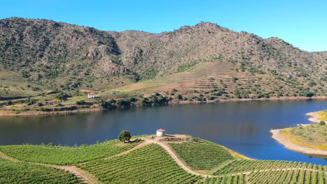 rocky mountains and lush vineyards separated by a river