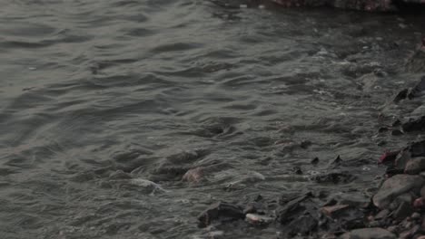 plastic washing up on the sea shore