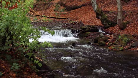 small waterfall in park. river with cascade flowing in mountainous park